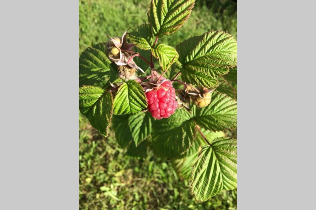 MirachowoWidokowka Kaszuby别墅 外观 照片